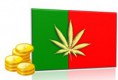 /album/galeria-de-fotos/cannabis-portugal-jpg/